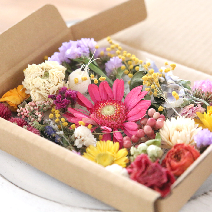  dry flower assortment material for flower arrangement set MIX ( gerbera )