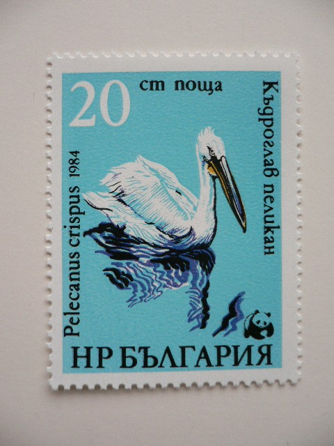  BVLGARY a марка 1984 защита животное пеликан 3345