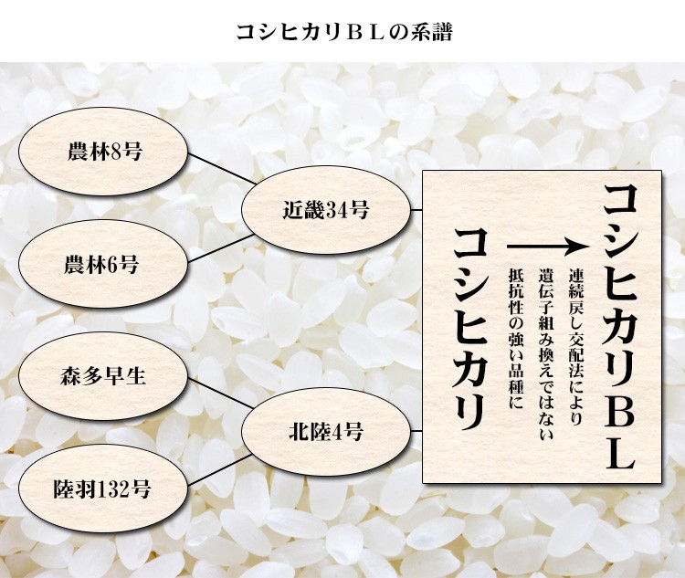 o рис 10kg белый рис бесплатная доставка Koshihikari 5kg×2 пакет Niigata префектура производство . мир 6 год производство один и т.п. рис . рис .. надеты . еда Hokkaido * Okinawa. дополнение стоимость доставки отметка использование 
