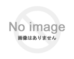 LUDDITE ラダイト ガセットペンケース （岡山デニム） LDD-GPN-100 筆箱の商品画像