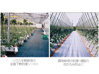 シート 防草シート 1本入 農業資材 園芸用品 ビニールハウス アグリズ Paypayモール店 通販 Paypayモール 日本ワイドクロス 防草アグリシート 1515 透水タイプ 1 5 X 100m ブラック シート