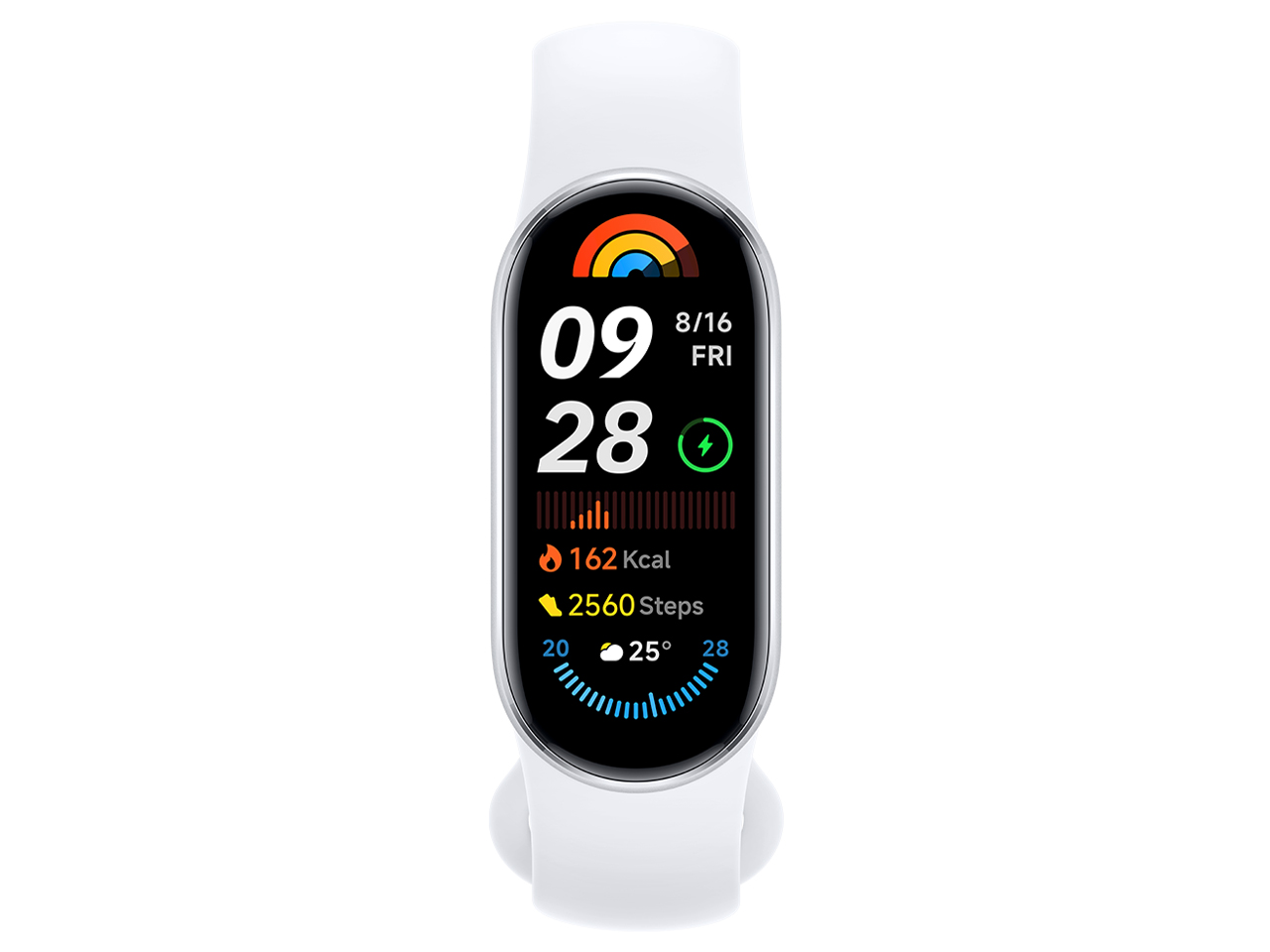 HEALBE HEALBE GoBe3 グレー HGB3-BK-GY スマートウォッチ本体 HEALBE HEALBE GoBe3 グレー HGB3-BK-GY スマートウォッチ本体