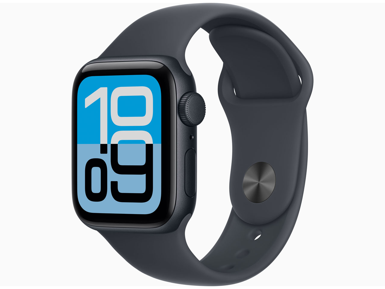 GARMIN vivosmart 5 Black Lサイズ 010-02645-64 vivosmart