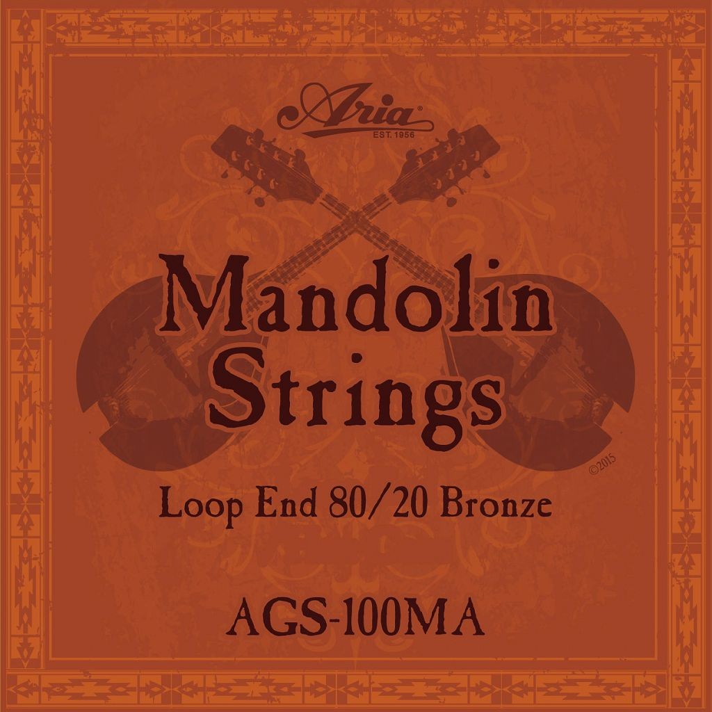 [ string ×1 set ]ARIA AGS-100MA [10-34] mandolin string / mail service shipping * cash on delivery un- possible 