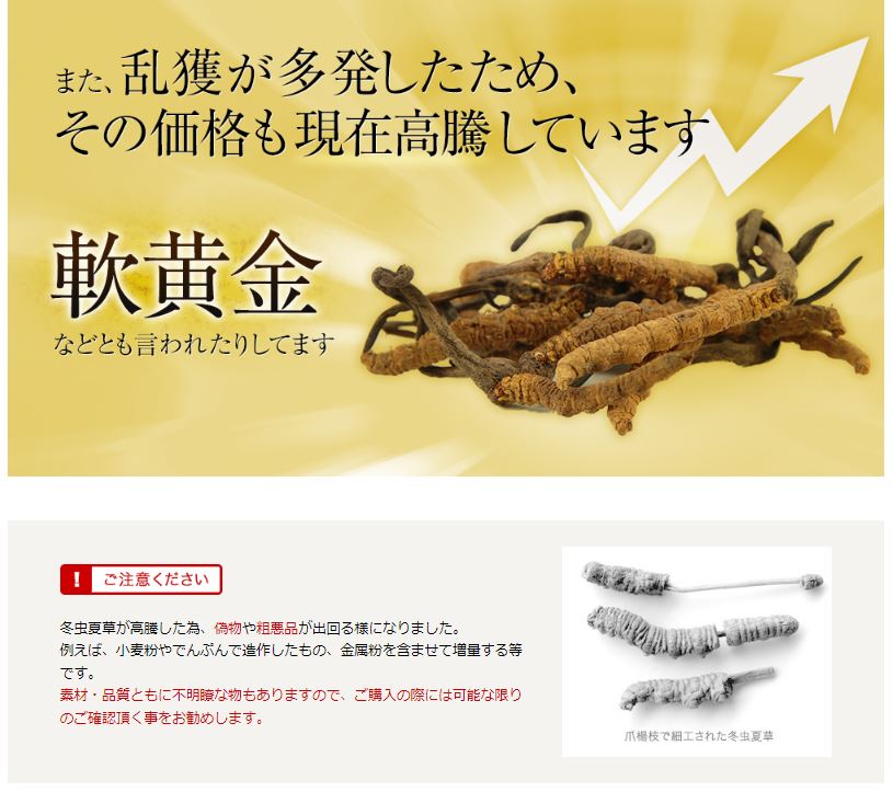  winter insect summer . supplement Japan production Japan production 100%sanagitake gold. winter insect summer .60 bead kai tuck 
