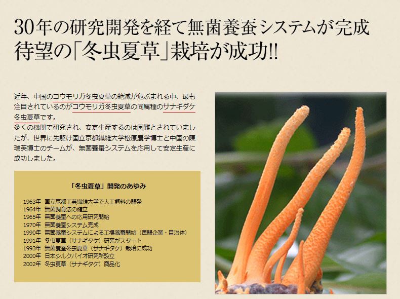  winter insect summer . supplement Japan production Japan production 100%sanagitake gold. winter insect summer .60 bead kai tuck 