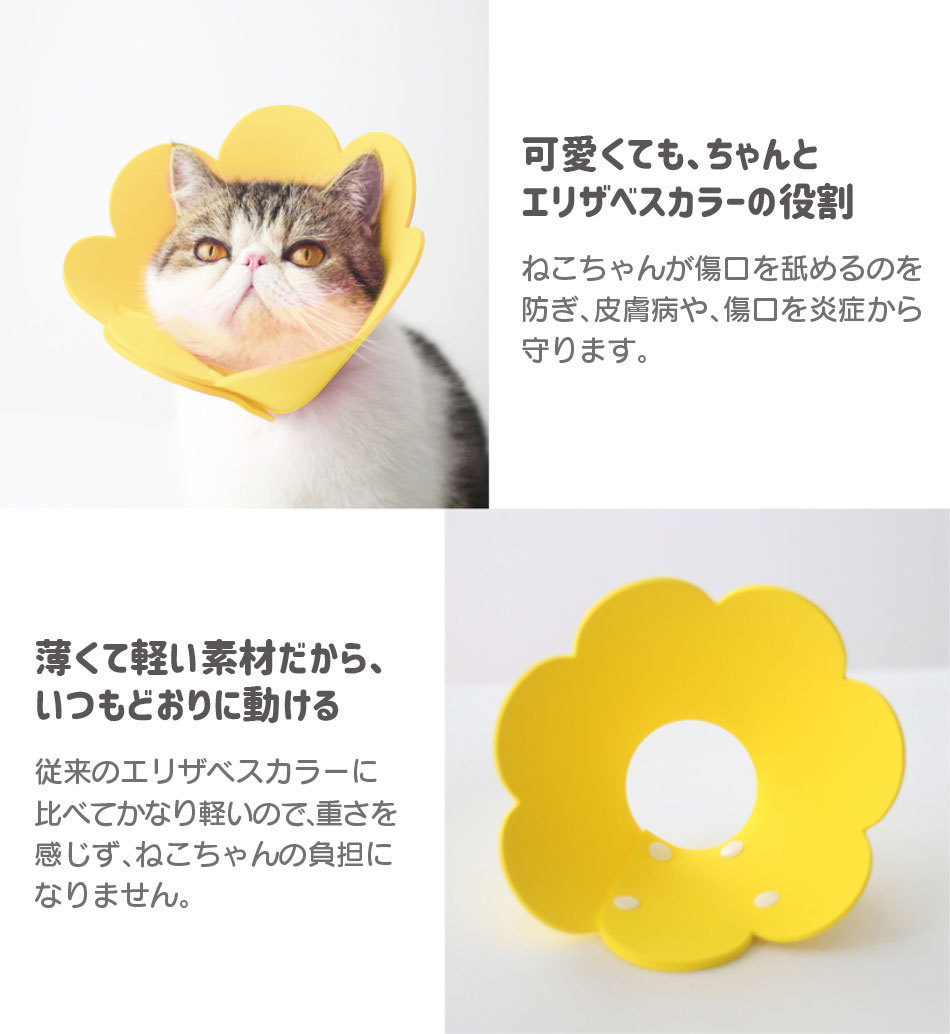 犬 猫 用 とっても柔らかな軽量ソフトエリザベスカラー ギガランキングｊｐ