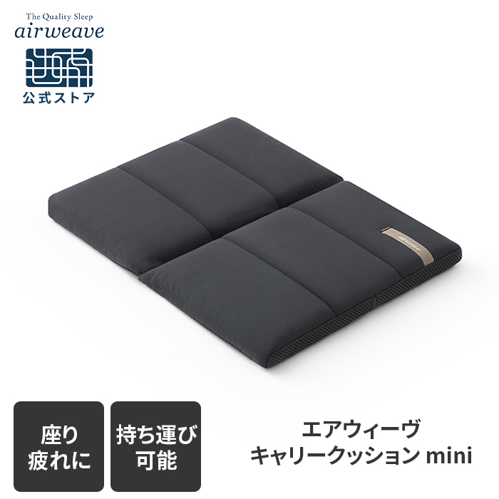 低反発座布団 トゥルースリーパー 低反発クッション 椅子用 【正規品