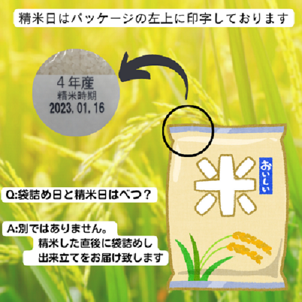  glutinous rice little amount rice . rice white rice one . minute 1.4kg domestic production free shipping ( Okinawa * remote island postage separately +1100 jpy )