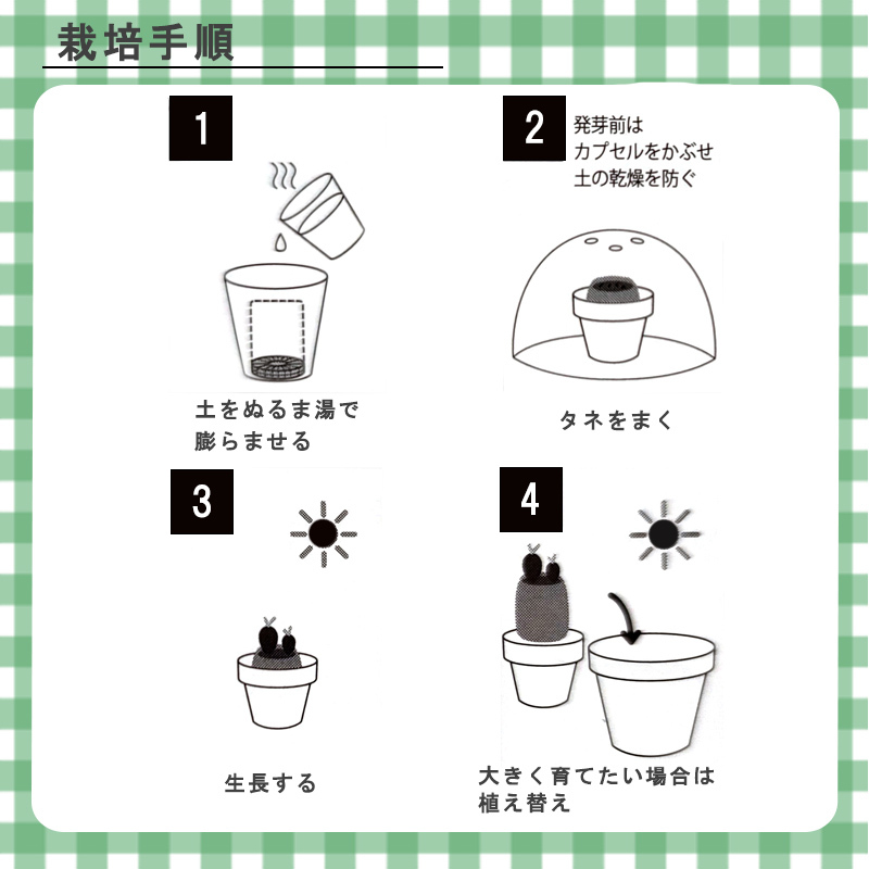 サボテン 栽培セット タネ 種 植物 ミニ 育てる カプセル 4種類 ガチャガチャ 育てるカプセル 激安な