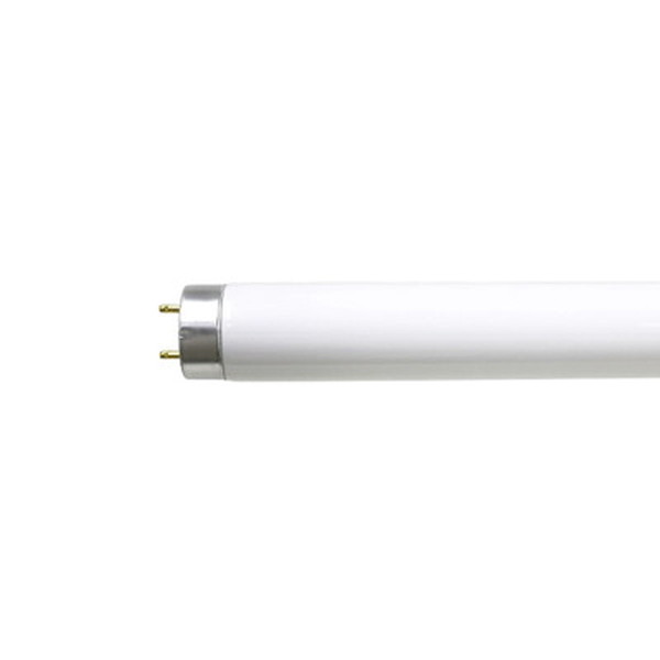 未使用 三菱電機 コンパクト蛍光ランプ 昼白色 FPL36EXN 10本