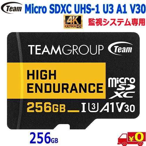 Team Group High Endurance THUSDX256GIV3002 （256GB） MicroSDメモリーカードの商品画像