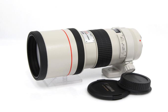 キヤノン EFレンズ EF300mm F4L USM 交換レンズ - 最安値・価格比較