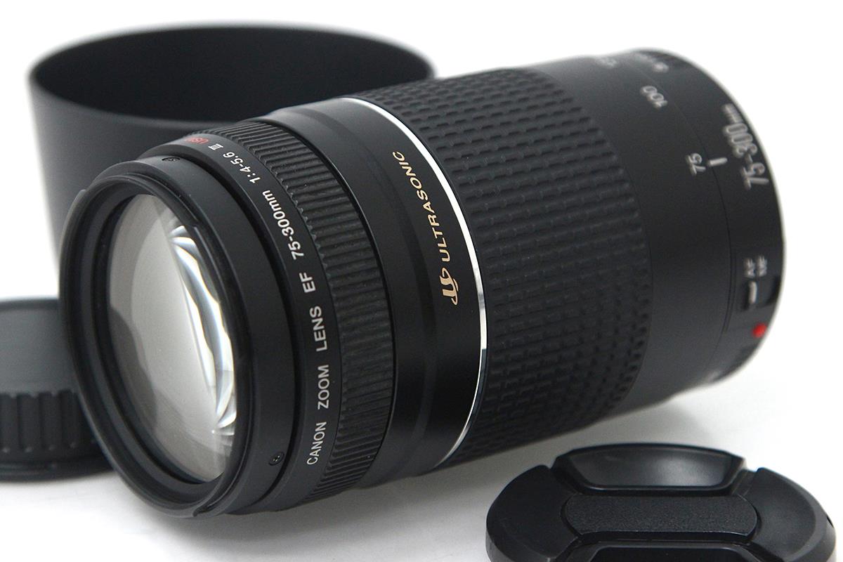 キヤノン EFレンズ EF75-300mm F4-5.6 III 交換レンズの商品画像