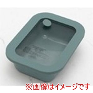 谷口金属工業 ズボラ 万能な保存容器 0.6L （グリーン） 【1個】の商品画像