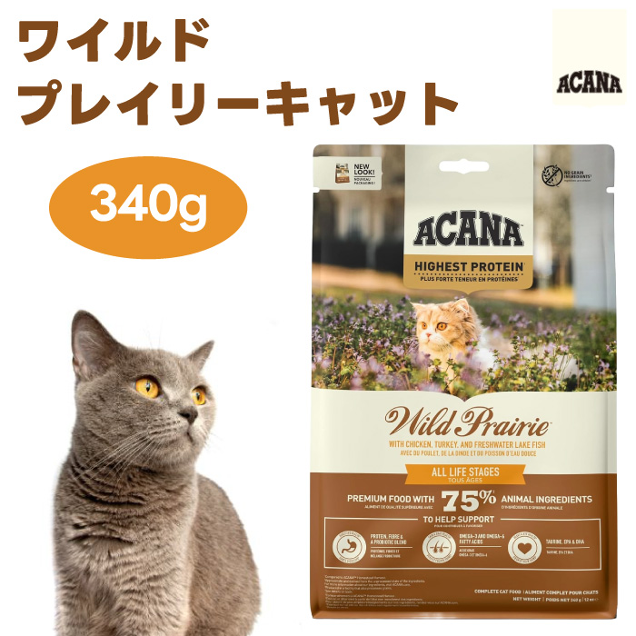 340g / 1個