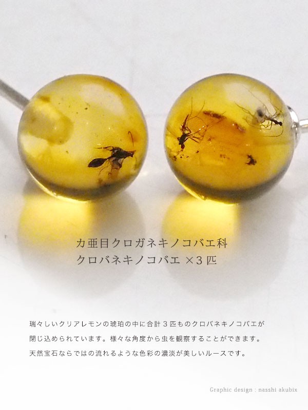 シルバー925 ピアス　琥珀　虫入り　8.22 g akubixy_musi279_3