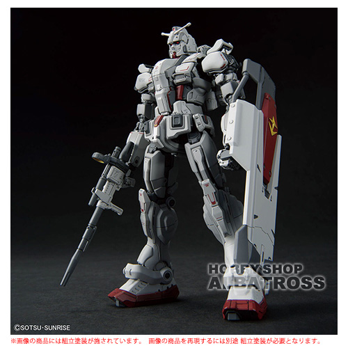 BANDAI MSN-02 パーフェクトジオング （1/100スケール MG MSV 機動戦士