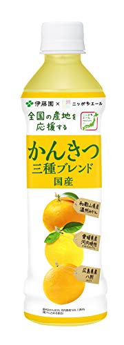 伊藤園 ニッポンエール 国産かんきつ三種ブレンド ペットボトル 400g×24 フルーツジュースの商品画像
