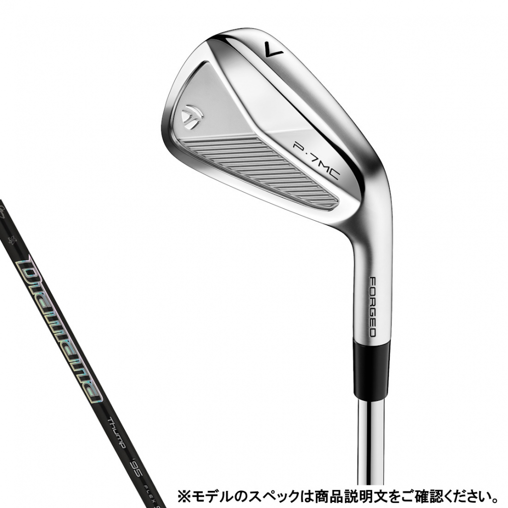 MIZUNO Mizuno Pro 245 アイアンセット[Dynamic Gold 95 MIZUNO Mizuno Pro 245 アイアンセット[Dynamic Gold 95