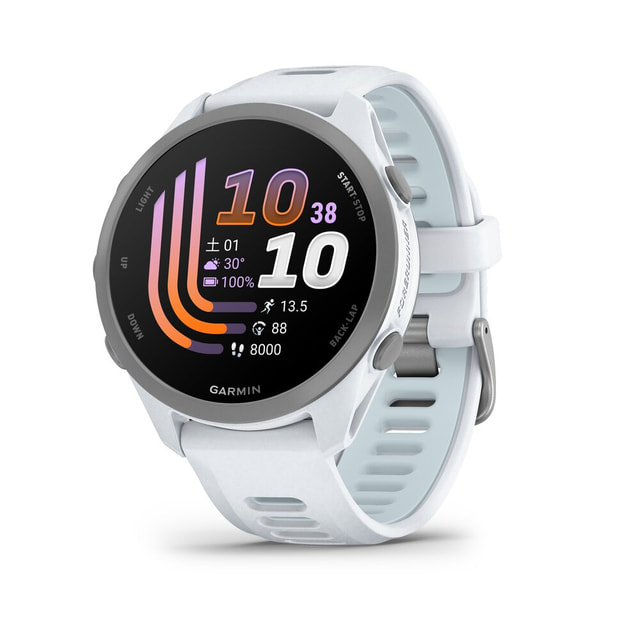 GARMIN Forerunner 165 Music BlackGray 010-02863-90 Forerunner