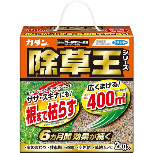 2kg / 1個