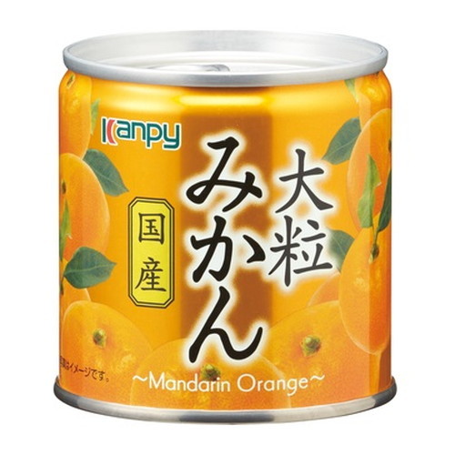 大清水 缶 大清水50-9-0624 デュエルマスターズ 轟腕のR ダグラジャパニ