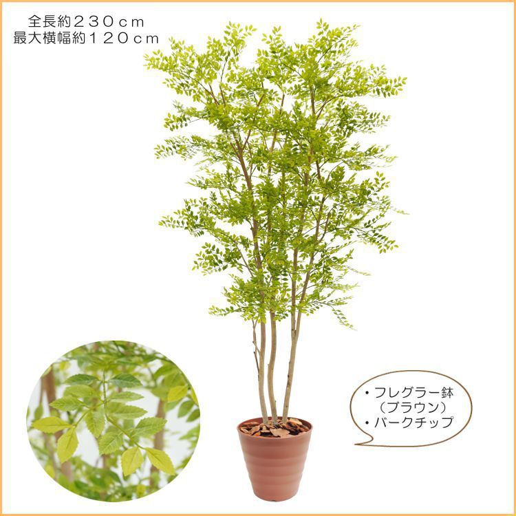 ヒマラヤソケイ 230cm (シマトネリコ 造花 インテリア イエロー バタフライ おしゃれ 室内 人工 観葉植物 大型 フェイク グリーン 作り物 装飾 トネリコ) :am1214-230w120:造花観葉植物専門店ビワールデコ 通販 ヒマラヤソケイ 230cm (シマトネリコ 造花 インテリア イエロー バタフライ おしゃれ 室内 人工 観葉植物 大型 フェイク グリーン 作り物 装飾 トネリコ)