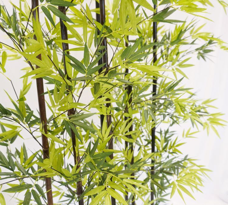 黒竹 8本立 パーテーション 180cm (クロタケ 人工竹 造花 竹林