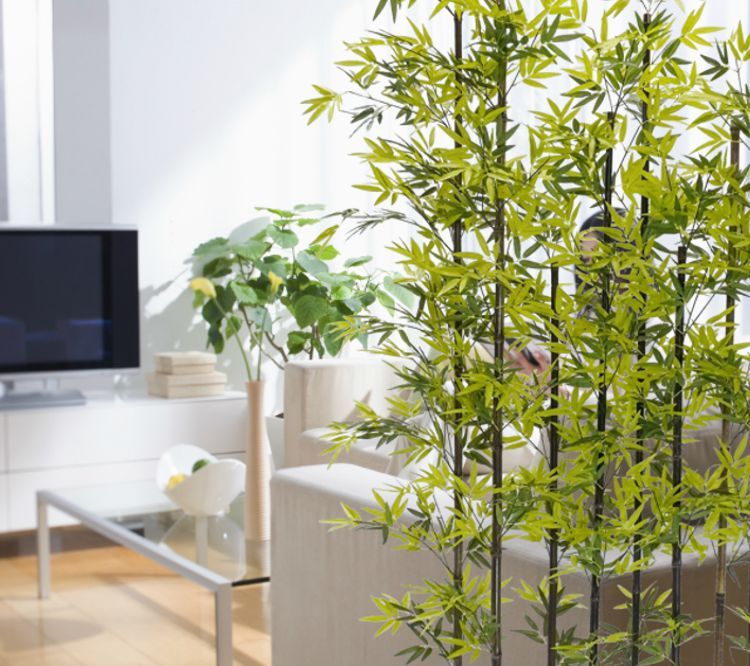 黒竹 8本立 パーテーション 210cm (クロタケ 人工竹 造花 竹林