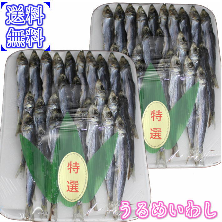  free shipping ...... circle dried on . groceries approximately 138g rom and rear (before and after) ×2 pack Kagoshima production approximately 11-16 pcs ×2 principle mail service [urume picton herring .]