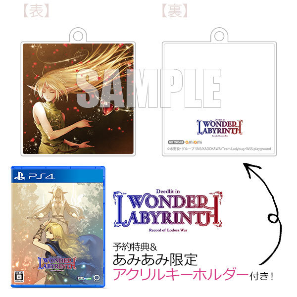 【PS4】 ロードス島戦記 ーディードリットインワンダーラビリンスー