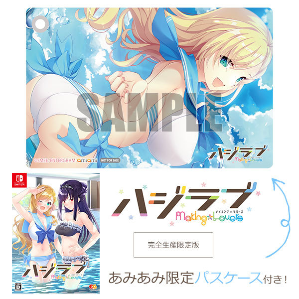 エンターグラム 【Switch】ハジラブ -Making*Lovers- [完全生産限定版