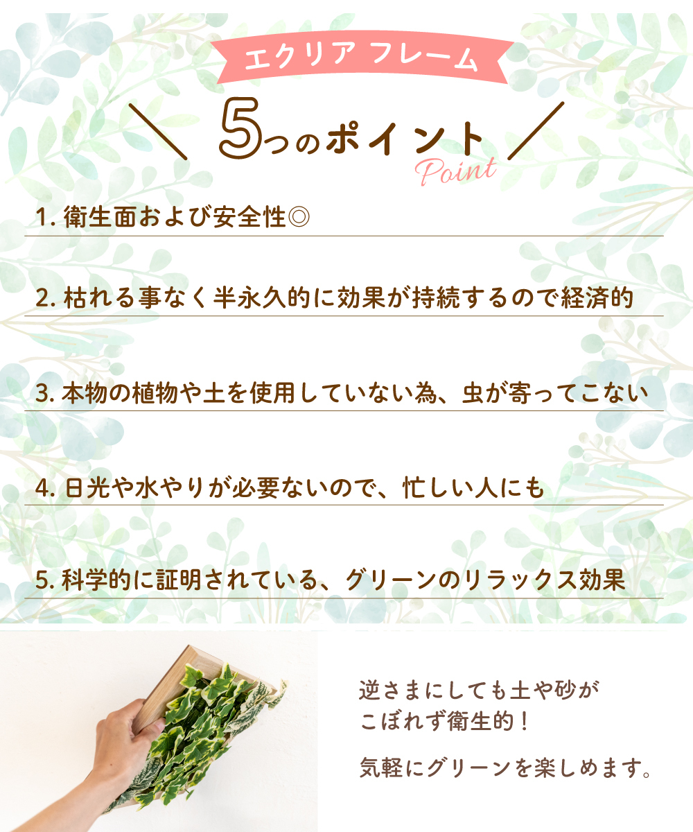フェイクグリーン CT触媒 エクリア フレーム