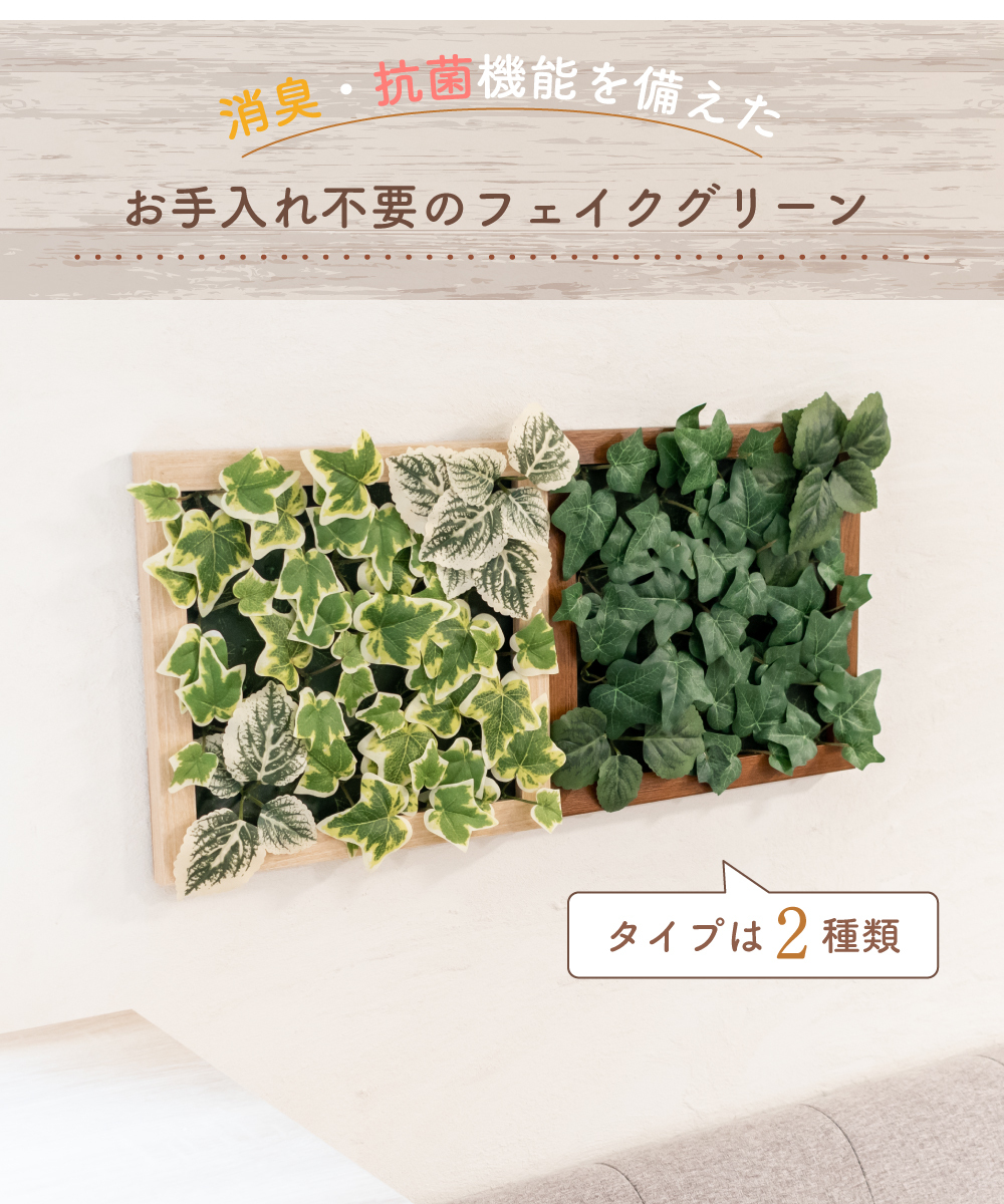 フェイクグリーン CT触媒 エクリア フレーム