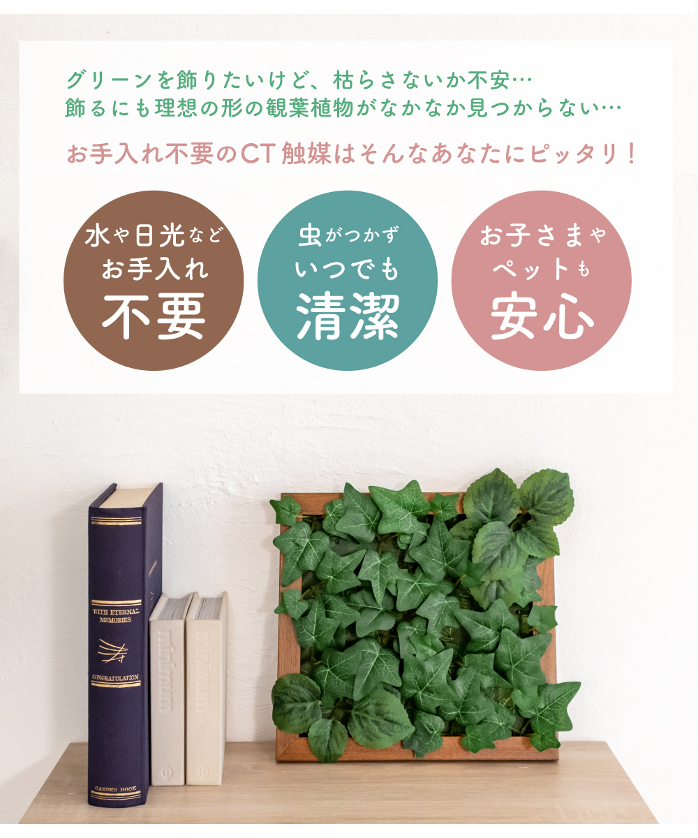 フェイクグリーン CT触媒 エクリア フレーム