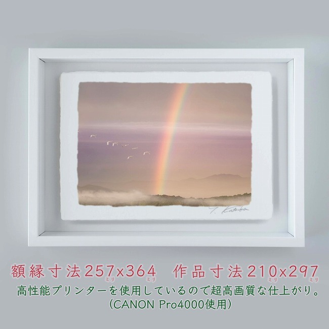  Pro camera man one-side hill . light .[ rainbow . swan ] B4 size light .... hand .. Japanese paper finishing 013-B4- white beautiful background pastel color Japanese paper art (21y8m)