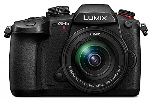 LUMIX DC-GH5M2M 標準ズームレンズキットの商品画像