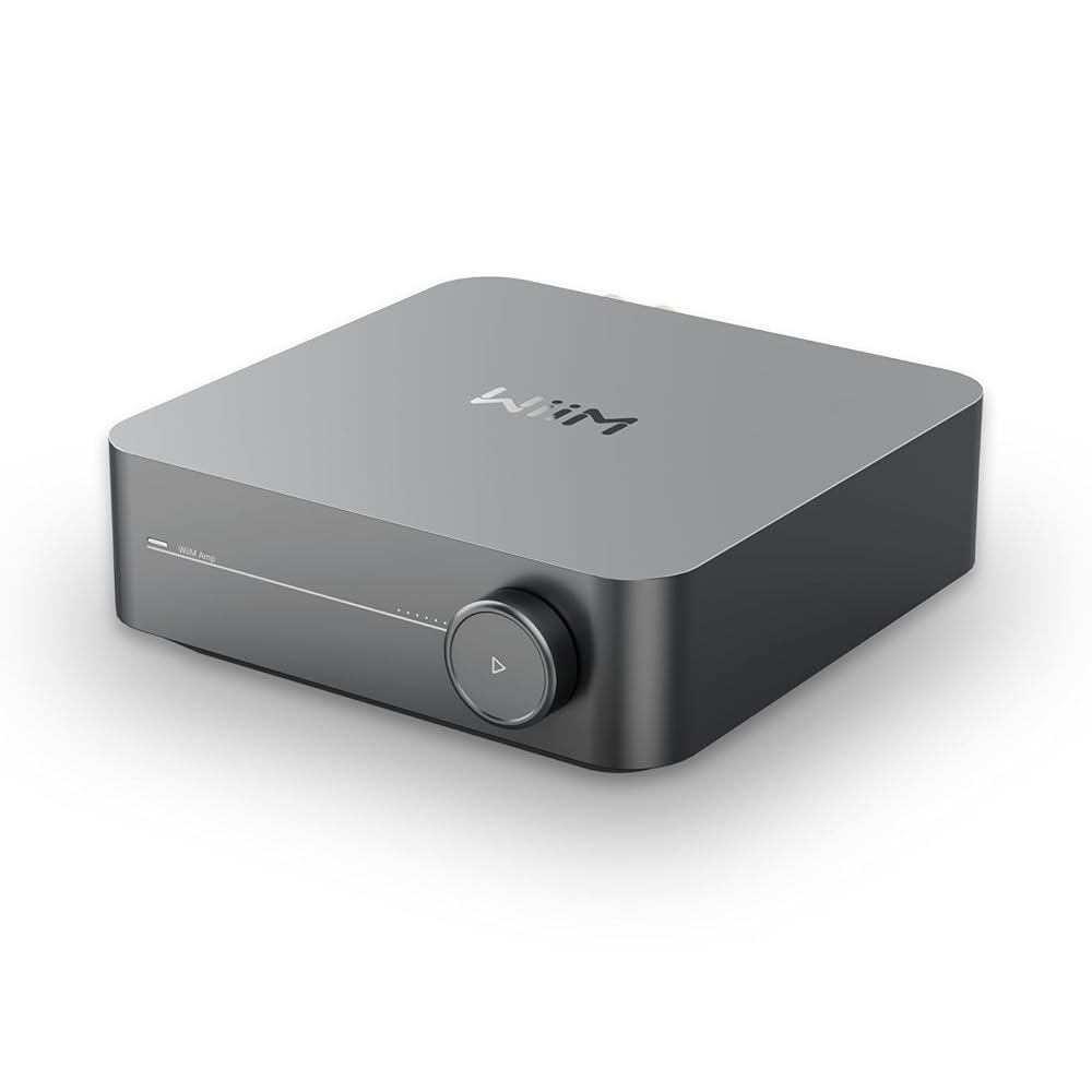 DENON プリメインアンプ PMA-600NE （プレミアムシルバー