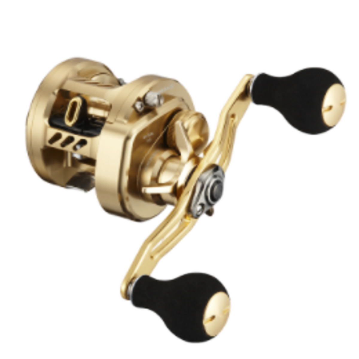DAIWA（釣り） 21 バサラ 100L 釣り 両軸リール - 最安値・価格比較