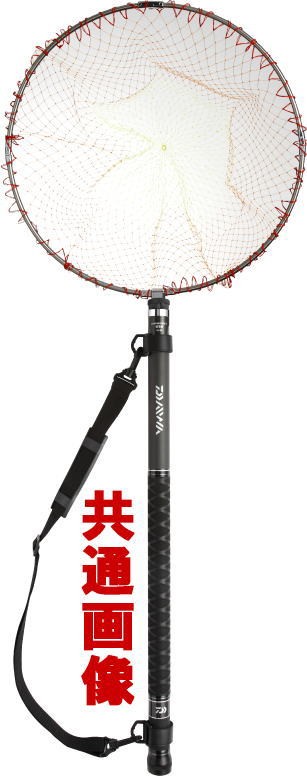 DAIWA ランディングポール（2）磯玉網 60-50の商品画像