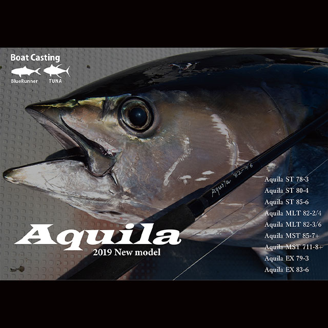 Ripple Fisher 19 Aquila ST 78-3 釣り オフショアロッド - 最安値