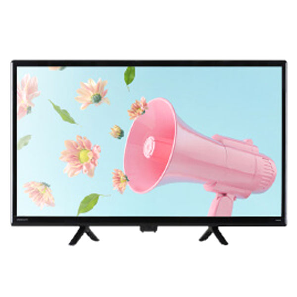 DOSHISHA OL24WD300 オリオン電気（ドウシシャ） 液晶テレビ、薄型