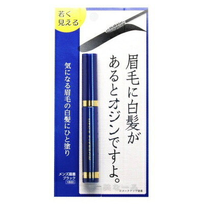 ビナ薬粧 メンズ眉墨 ブラック×1個の商品画像