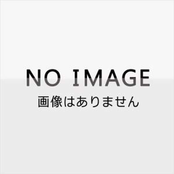 LEGO デュプロ 基礎板 緑 10460の商品画像
