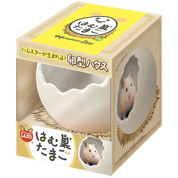 ⭐︎ハムスターケージ⭐︎ GEX グラスハーモニー450プラスです♪ Amazon | ジェックス Harmony グラスハーモニー450プラス ガラス