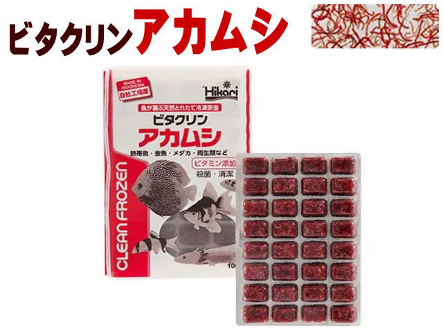 60枚　富城物産　冷凍赤虫　1枚/100g　キューブ あかむし 楽天市場】冷凍☆富城 冷凍アカムシ 100g 1枚 冷凍赤虫 別途