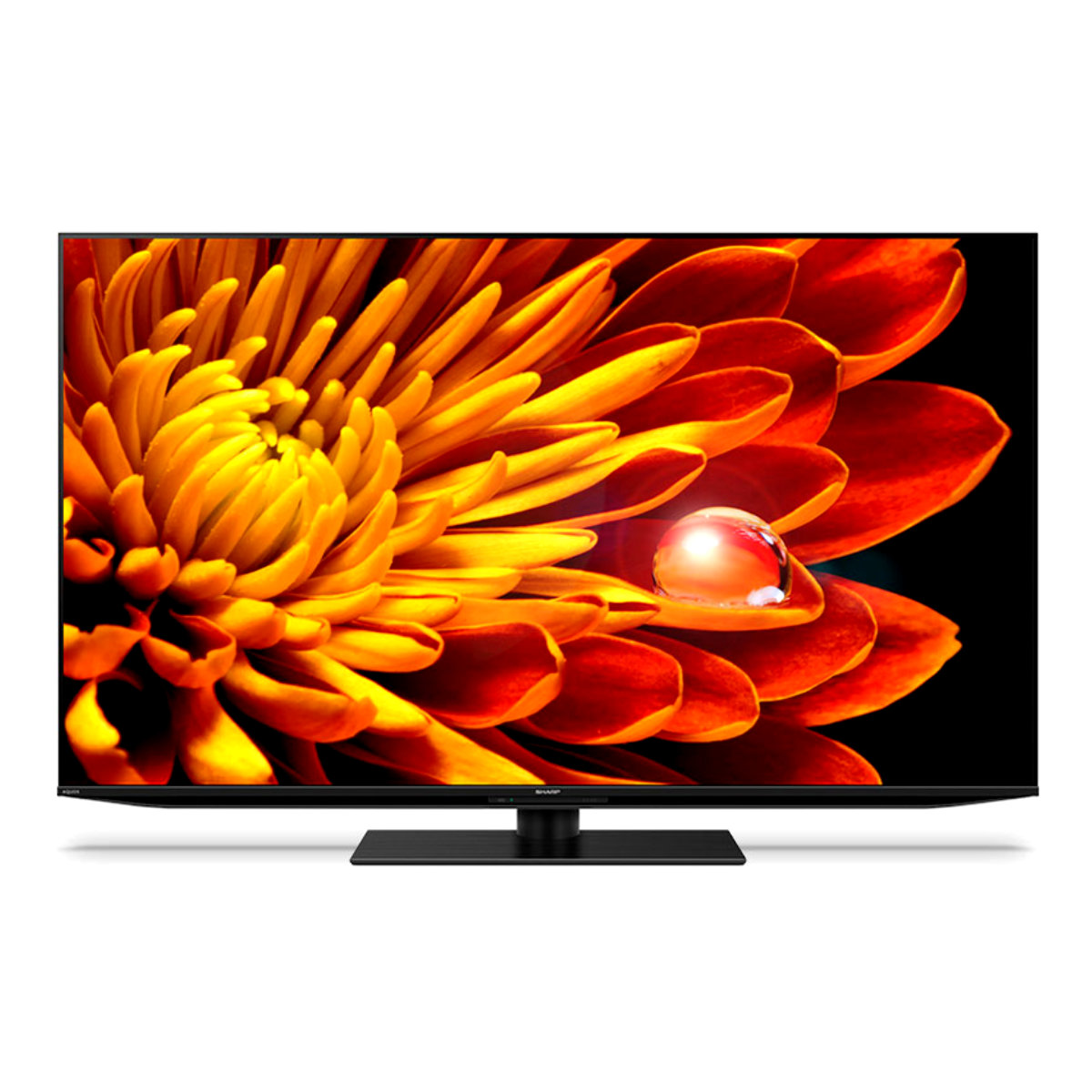 SHARP 4T-C65EP1 AQUOS 液晶テレビ、薄型テレビ - 最安値・価格比較