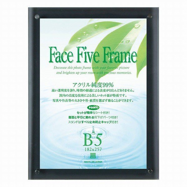 A.P.J. アクリルフレーム/フォトフレーム フェイスファイブフレーム B5サイズ 30736749 （スモーク） × 1個の商品画像