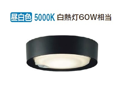 大光電機 LEDシーリングライト DCL-41047W （昼白色） （黒） シーリングライトの商品画像